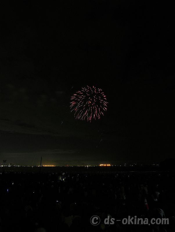 20221016_175545.jpg