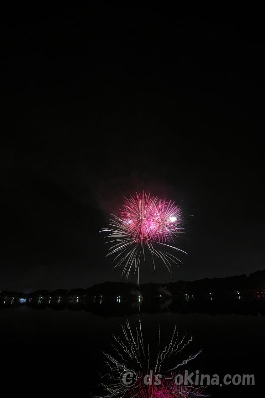 20221022_185341.jpg