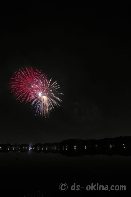 20221022_185426.jpg