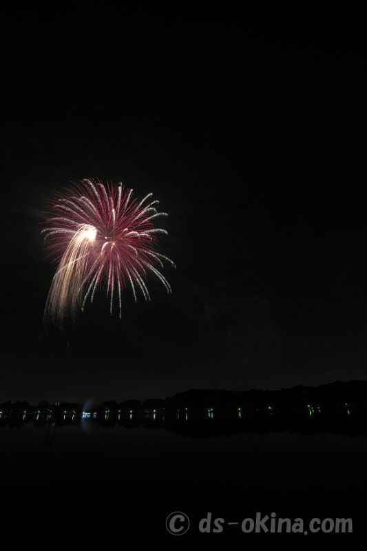 20221022_185455.jpg