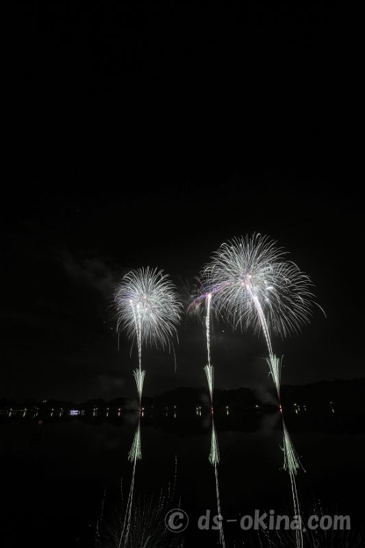 20221022_191712.jpg