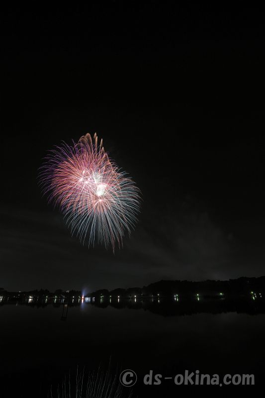 20221022_192030.jpg