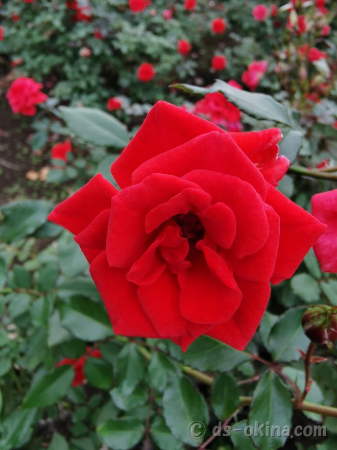 231029_142909.jpg