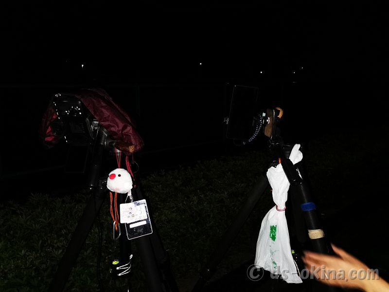 240929_192313.jpg