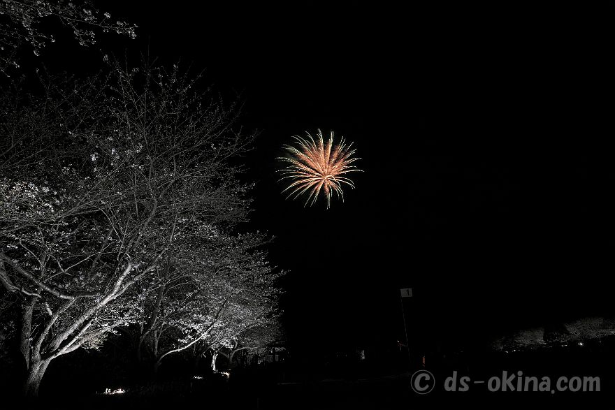 250330_191109.jpg