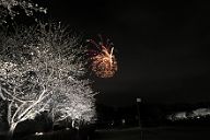 250330_190159