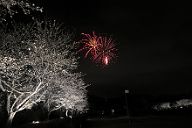 250330_190219