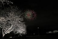 250330_190233