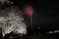 250330_190353
