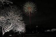 250330_190407