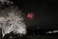 250330_190554