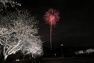 250330_190803