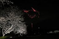 250330_191253