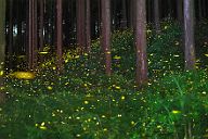 250718_2300-2519A7C50