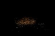 251011_180335