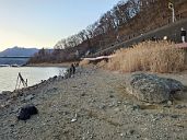 260201_170749