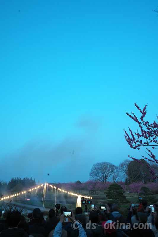 260321_180042.jpg