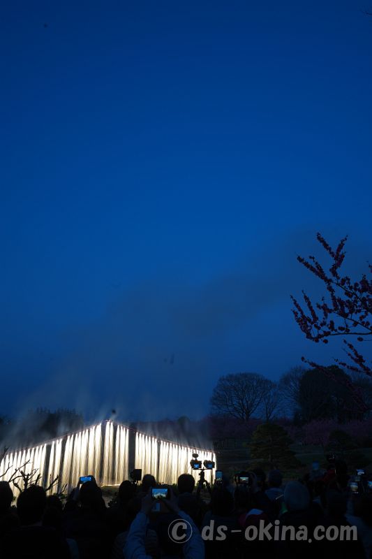 260321_180118.jpg