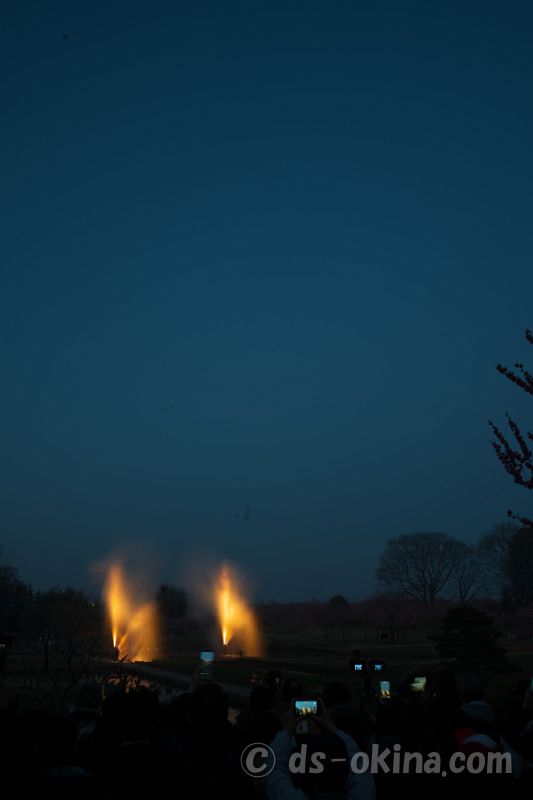 260321_180624.jpg