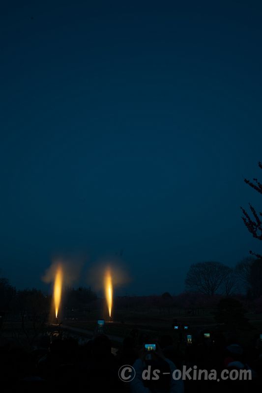 260321_180629.jpg