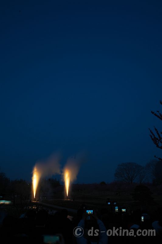260321_180901.jpg