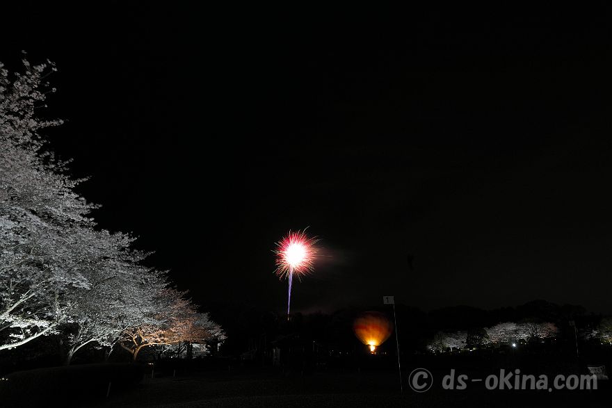 260405_190031.jpg