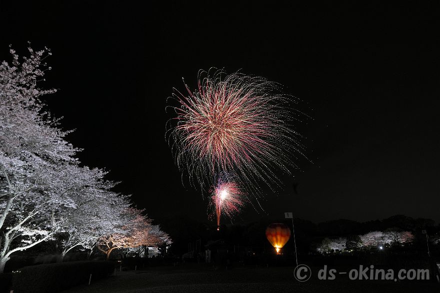 260405_190110.jpg