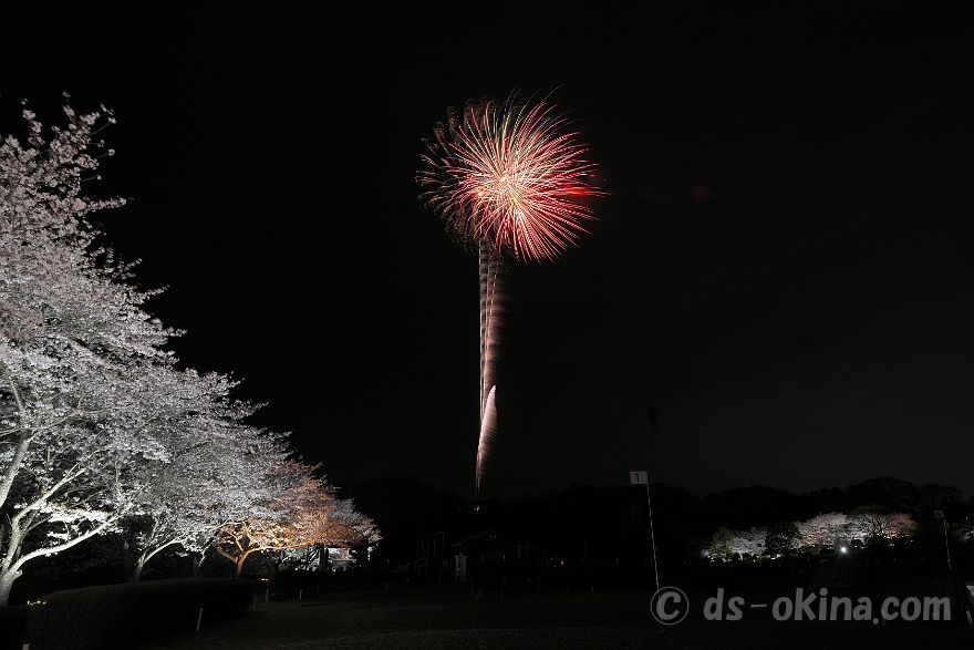 260405_190315.jpg