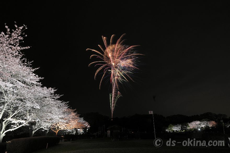 260405_190345.jpg