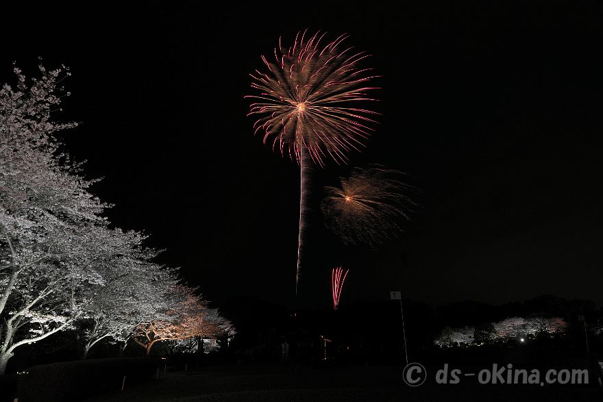 260405_190451.jpg