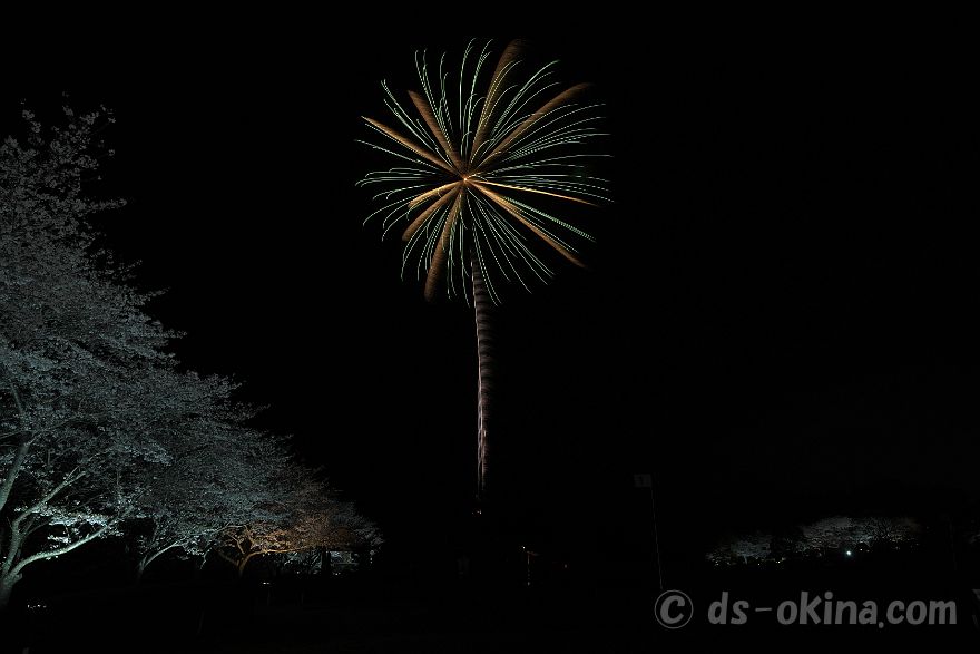 260405_190458.jpg