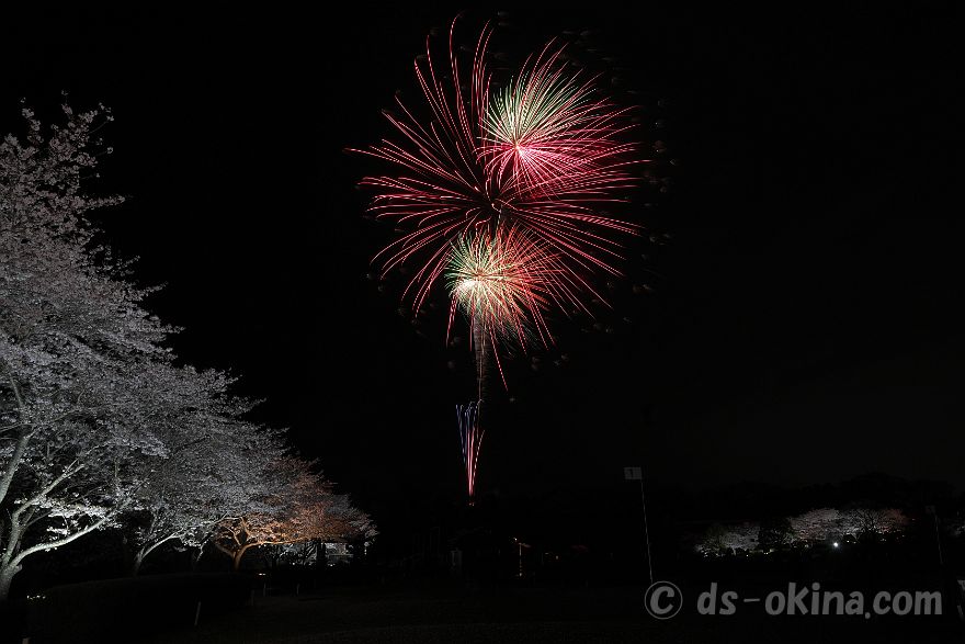 260405_190512.jpg