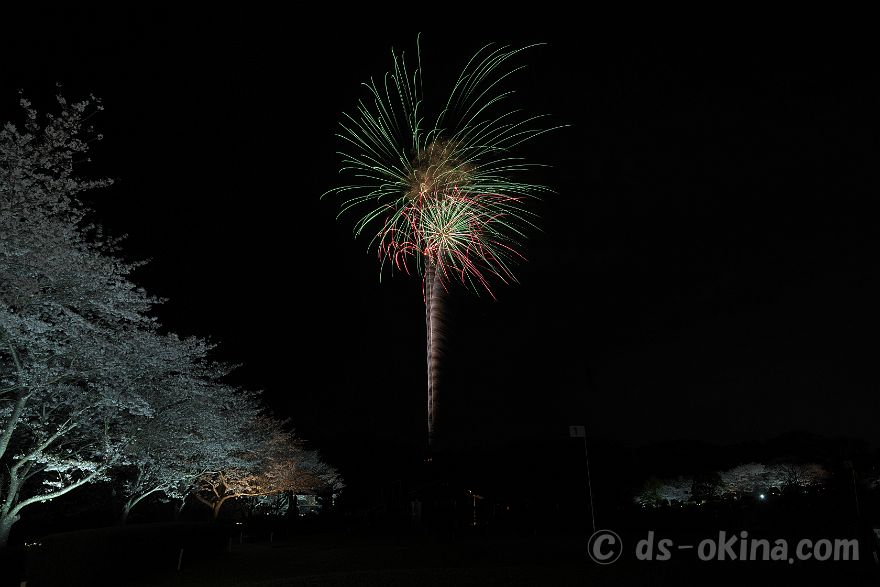 260405_190526.jpg