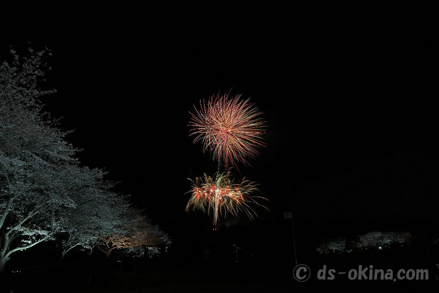 260405_190608.jpg