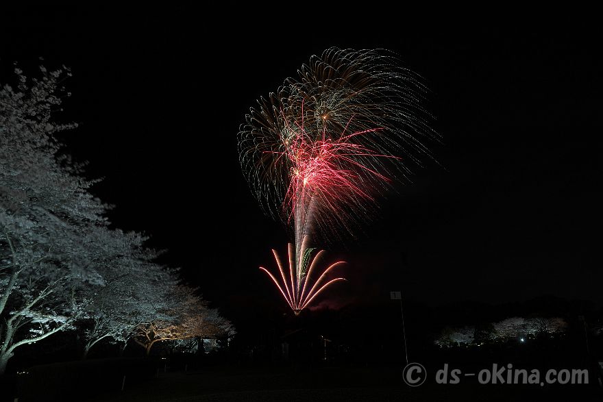260405_190636.jpg