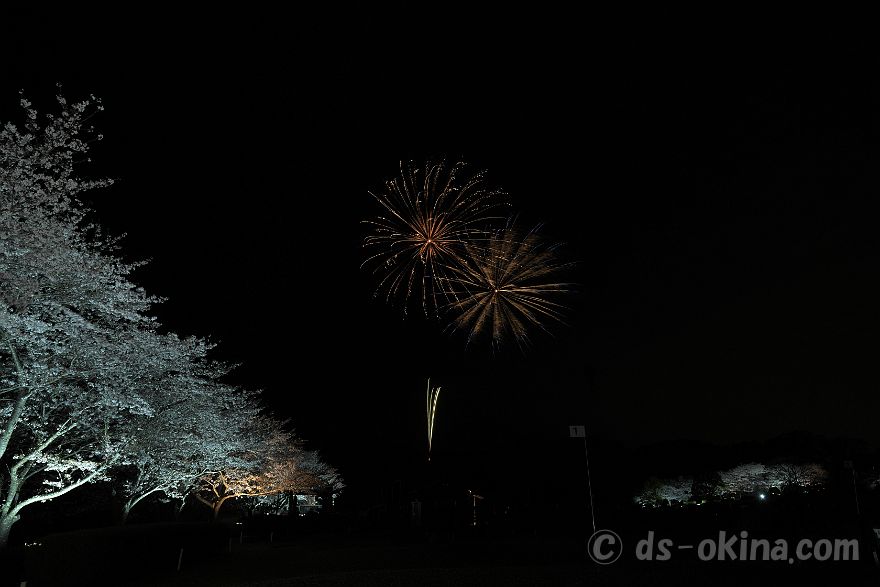 260405_190711.jpg