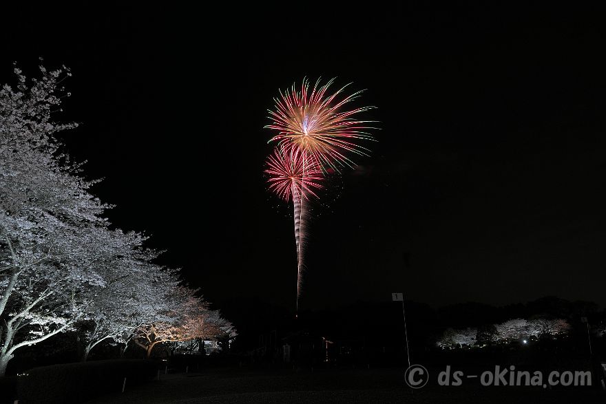 260405_190738.jpg