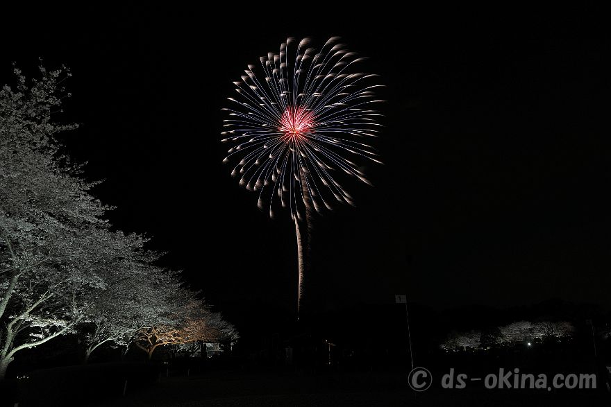 260405_190758.jpg