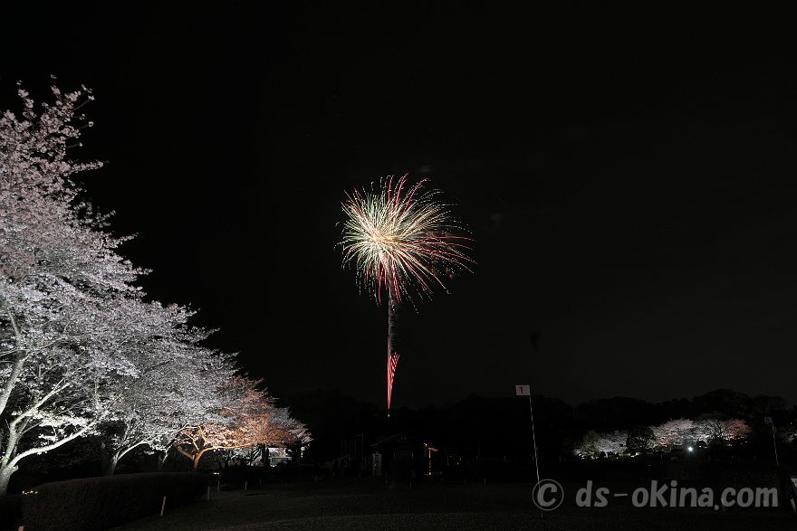 260405_190814.jpg