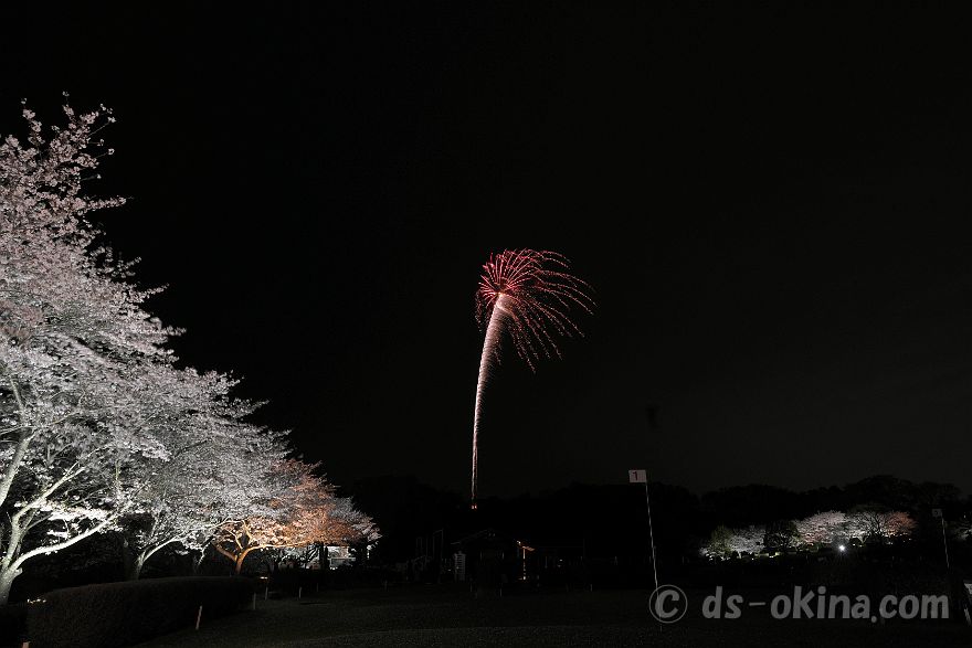 260405_190841.jpg