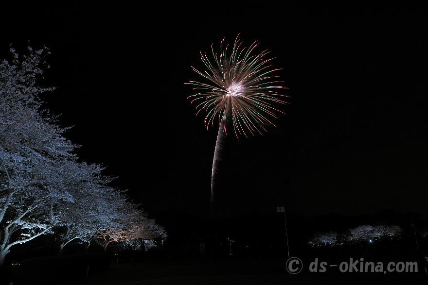 260405_190853.jpg