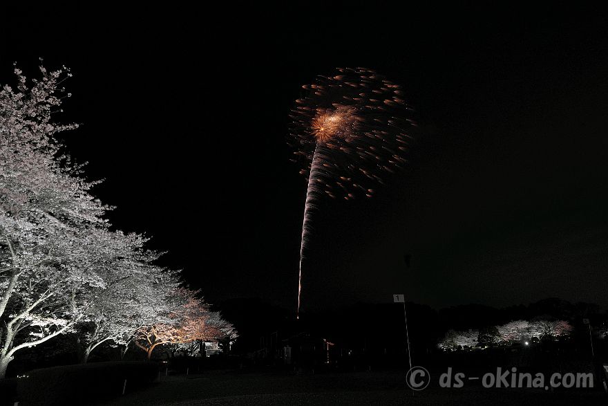 260405_190901.jpg