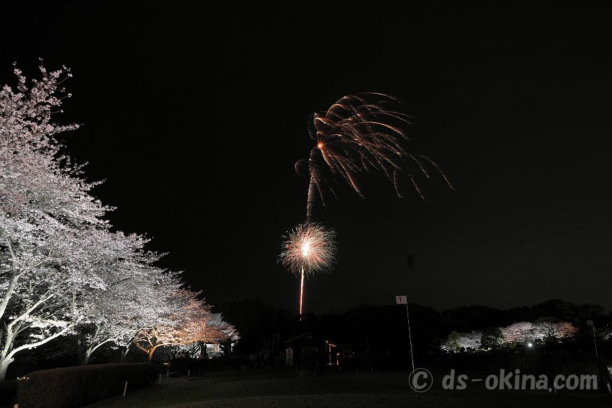 260405_191043.jpg