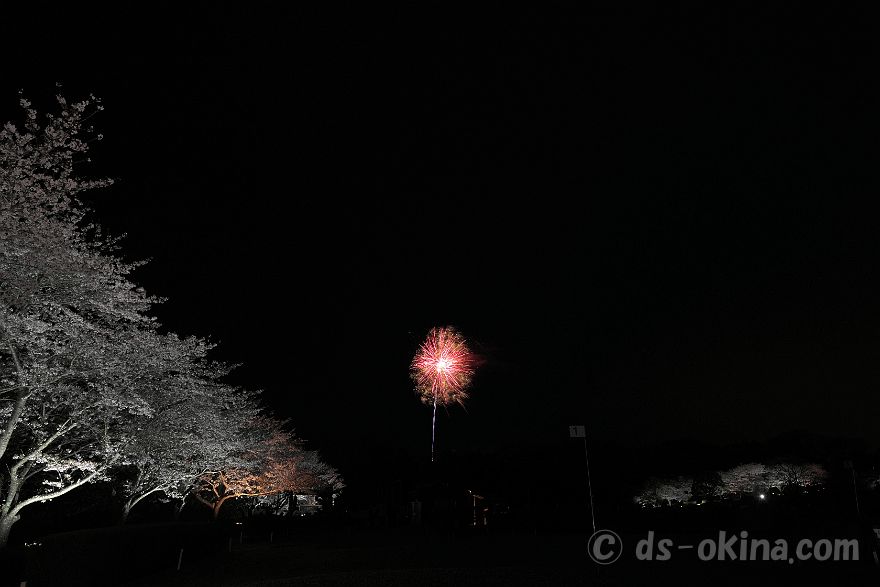 260405_191048.jpg