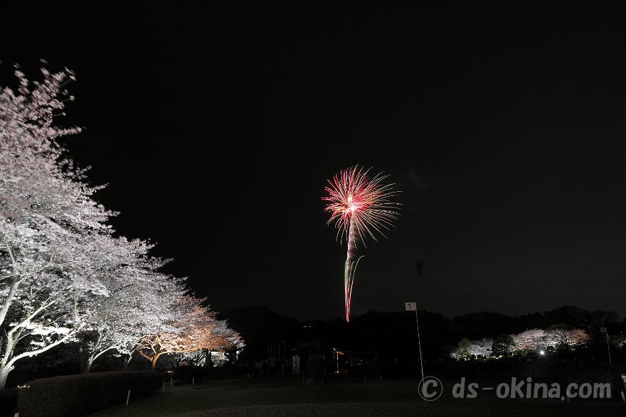 260405_191157.jpg