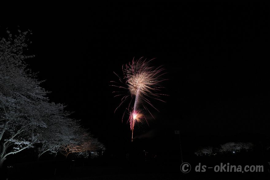 260405_191600.jpg