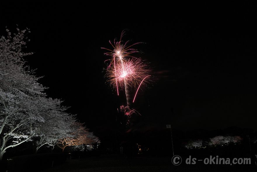 260405_191626.jpg