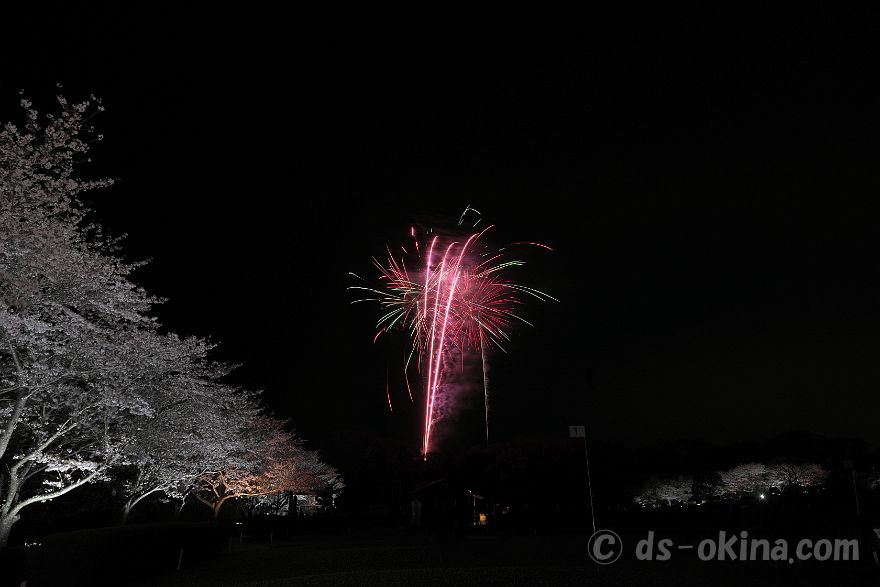 260405_191837.jpg