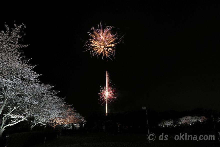 260405_192054.jpg