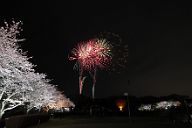 260405_190232